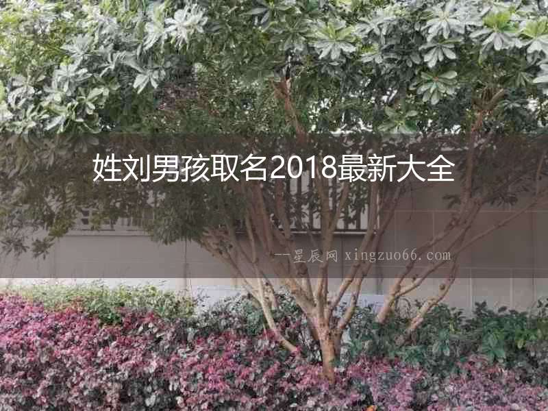 姓劉男孩取名2018最新大全