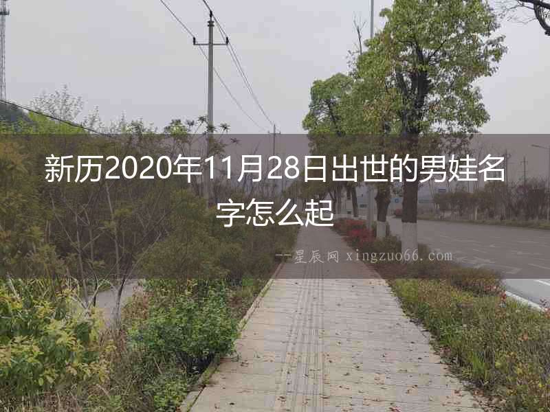 新歷2020年11月28日出世的男娃名字怎么起