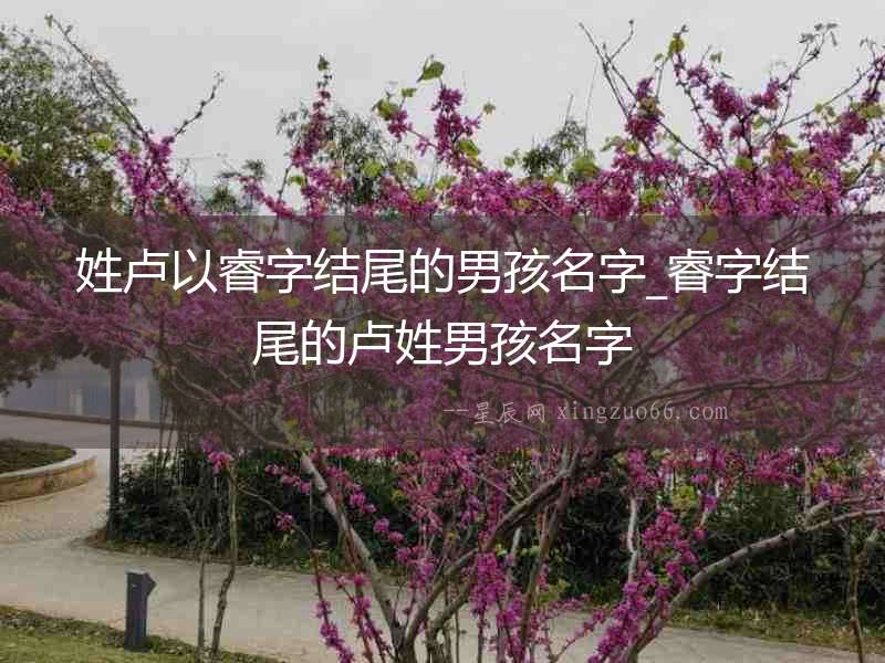 姓盧以睿字結尾的男孩名字_睿字結尾的盧姓男孩名字