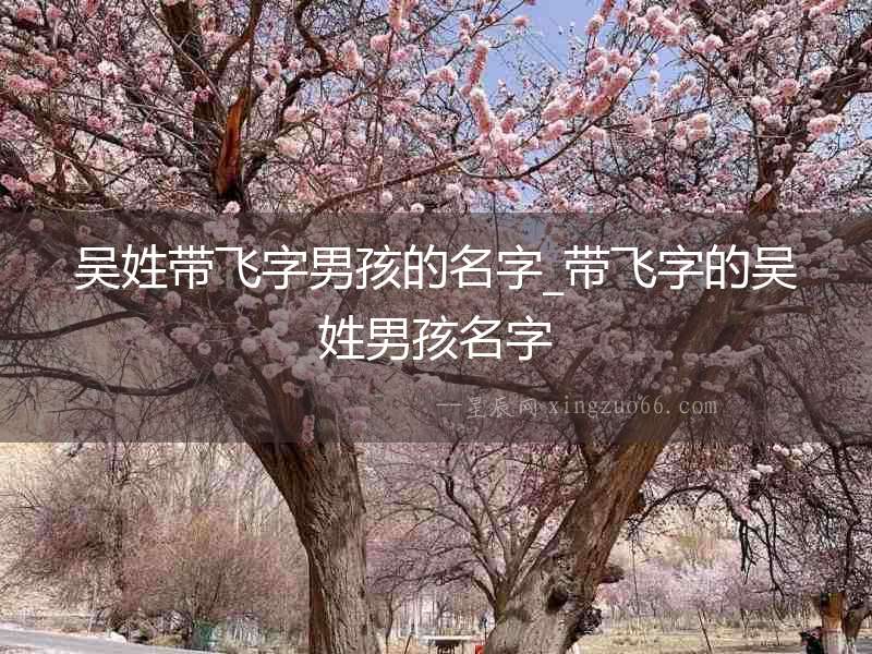 吳姓帶飛字男孩的名字_帶飛字的吳姓男孩名字