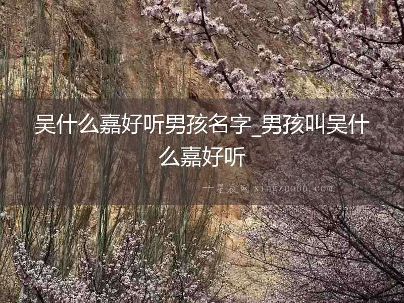吳什么嘉好聽男孩名字_男孩叫吳什么嘉好聽