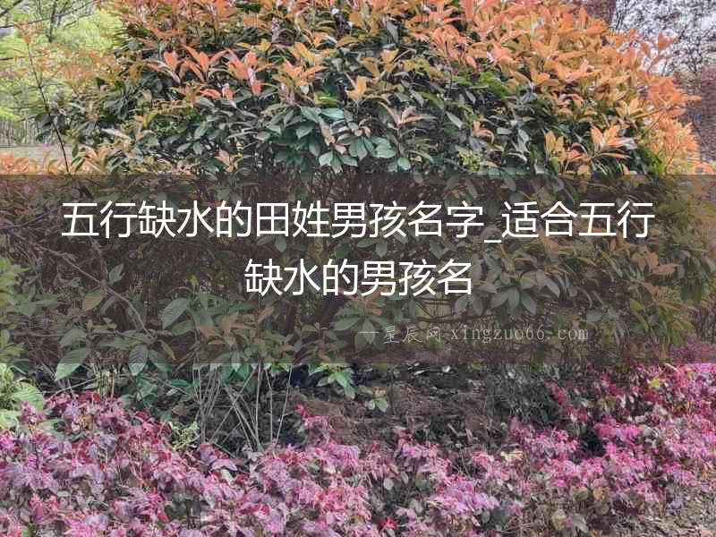 五行缺水的田姓男孩名字_適合五行缺水的男孩名
