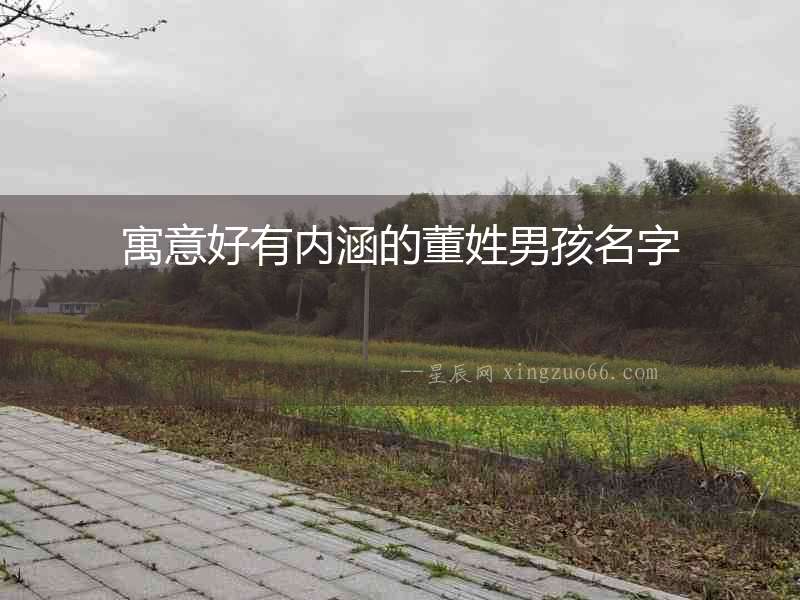寓意好有內(nèi)涵的董姓男孩名字