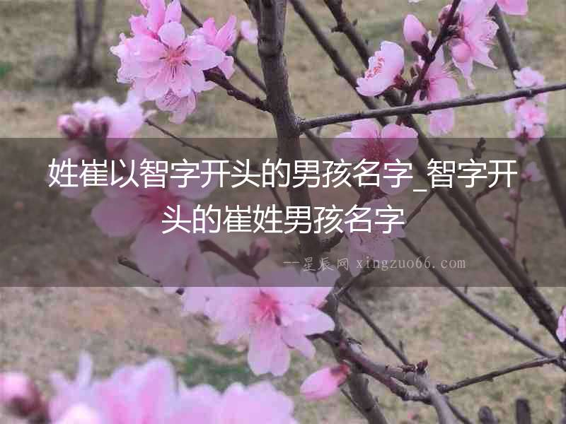姓崔以智字開(kāi)頭的男孩名字_智字開(kāi)頭的崔姓男孩名字