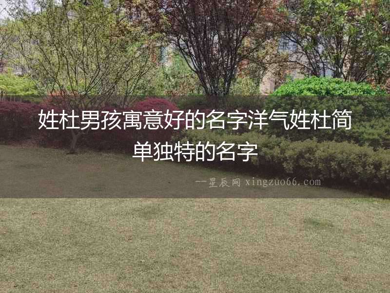姓杜男孩寓意好的名字洋氣姓杜簡單獨特的名字