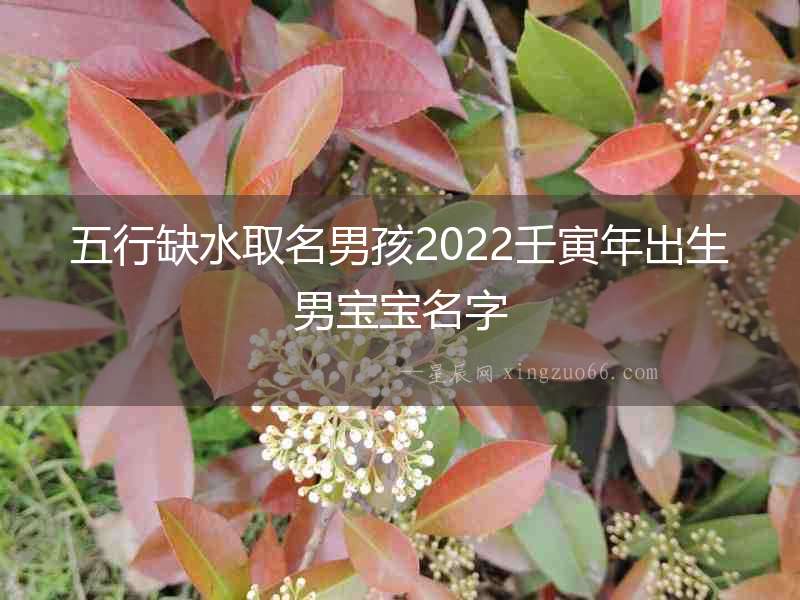 五行缺水取名男孩2022壬寅年出生男寶寶名字