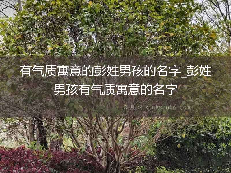 有氣質寓意的彭姓男孩的名字_彭姓男孩有氣質寓意的名字