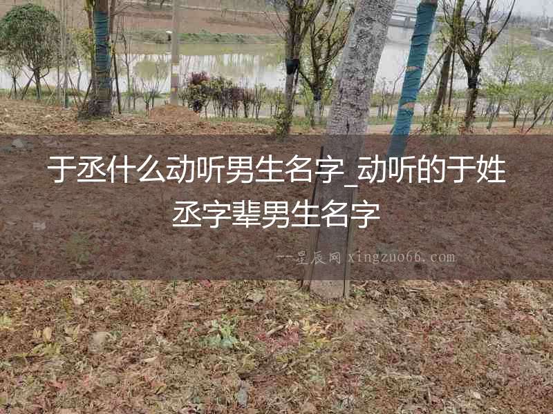 于丞什么動聽男生名字_動聽的于姓丞字輩男生名字