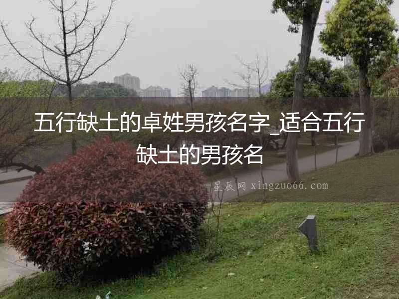 五行缺土的卓姓男孩名字_適合五行缺土的男孩名