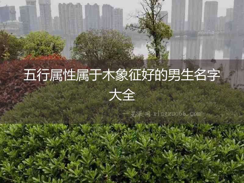 五行屬性屬于木象征好的男生名字大全