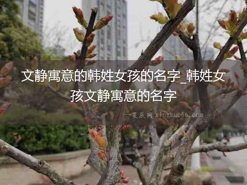 文靜寓意的韓姓女孩的名字_韓姓女孩文靜寓意的名字