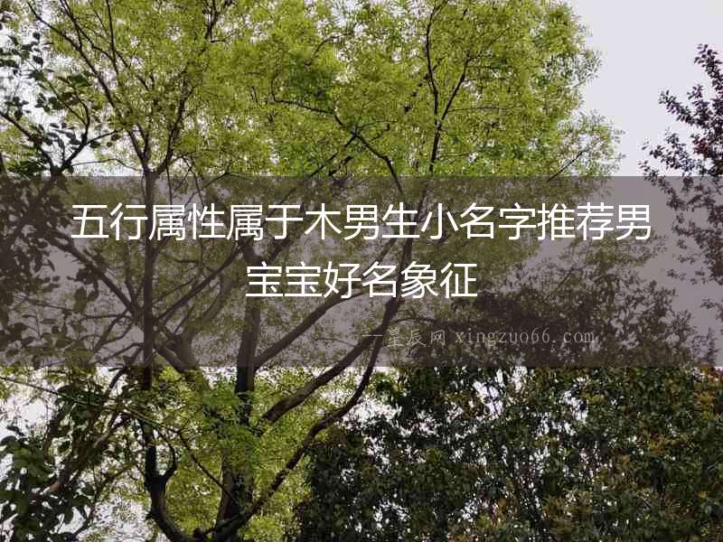 五行屬性屬于木男生小名字推薦男寶寶好名象征