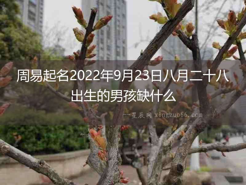 周易起名2022年9月23日八月二十八出生的男孩缺什么