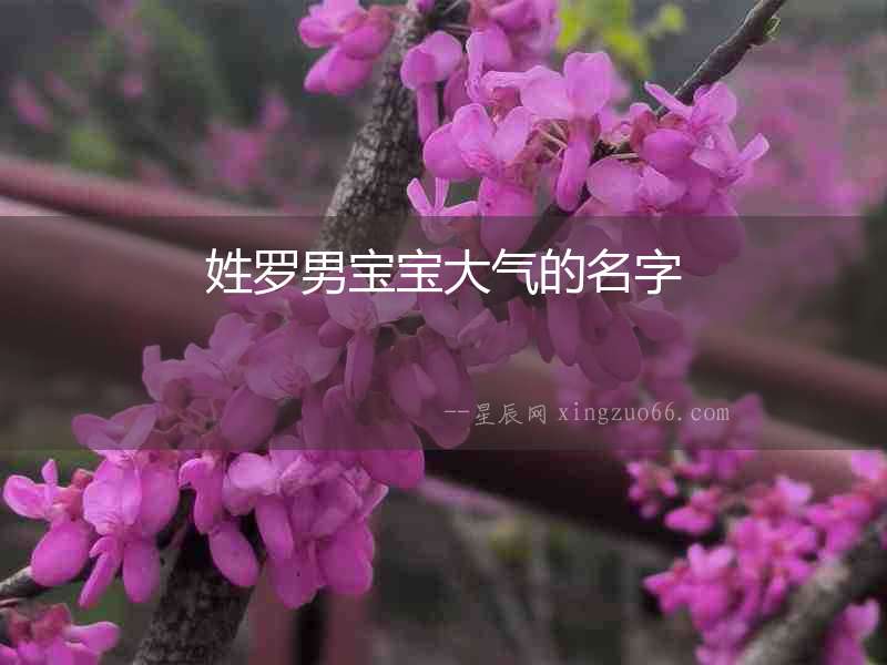 姓羅男寶寶大氣的名字