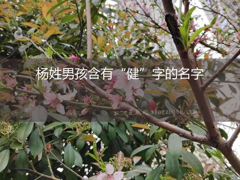 楊姓男孩含有“健”字的名字