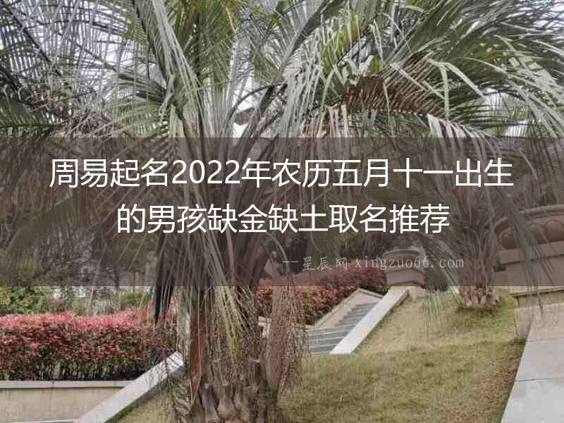 周易起名2022年農(nóng)歷五月十一出生的男孩缺金缺土取名推薦