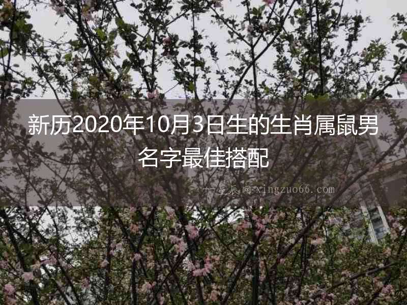 新歷2020年10月3日生的生肖屬鼠男名字最佳搭配