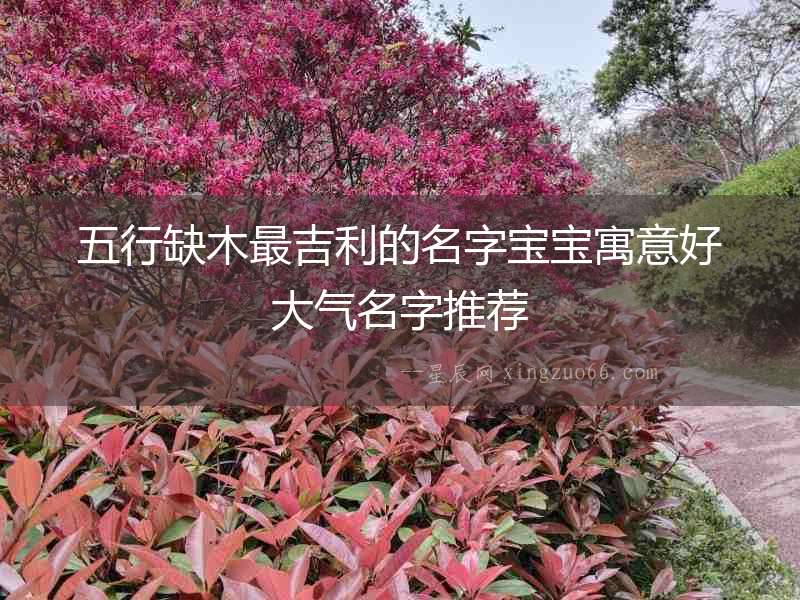 五行缺木最吉利的名字寶寶寓意好大氣名字推薦