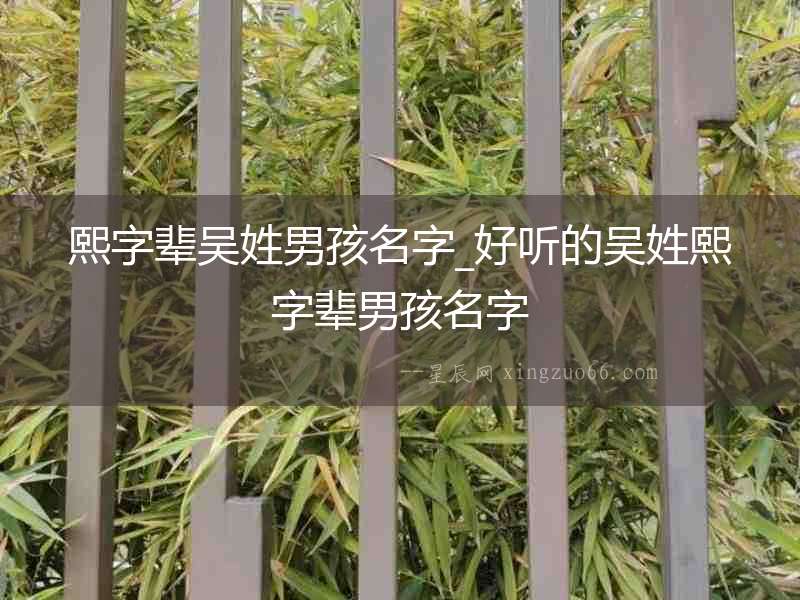 熙字輩吳姓男孩名字_好聽的吳姓熙字輩男孩名字