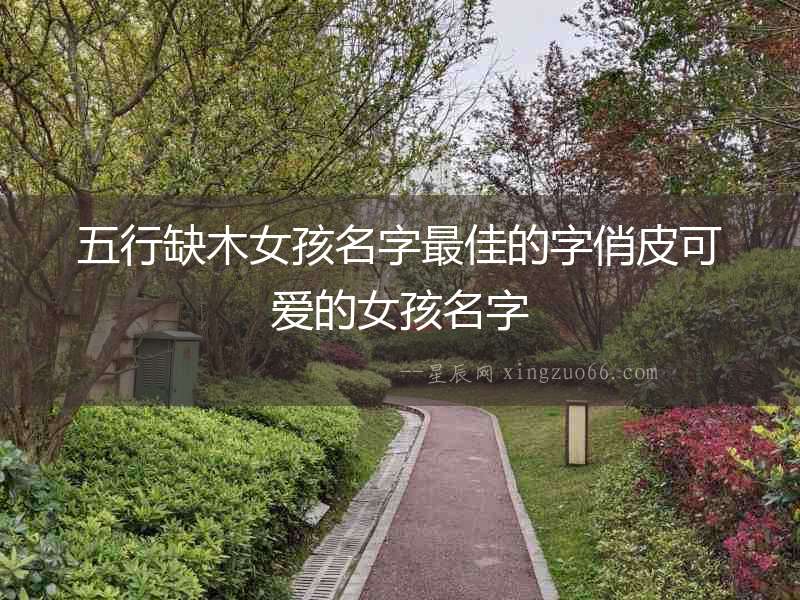 五行缺木女孩名字最佳的字俏皮可愛的女孩名字