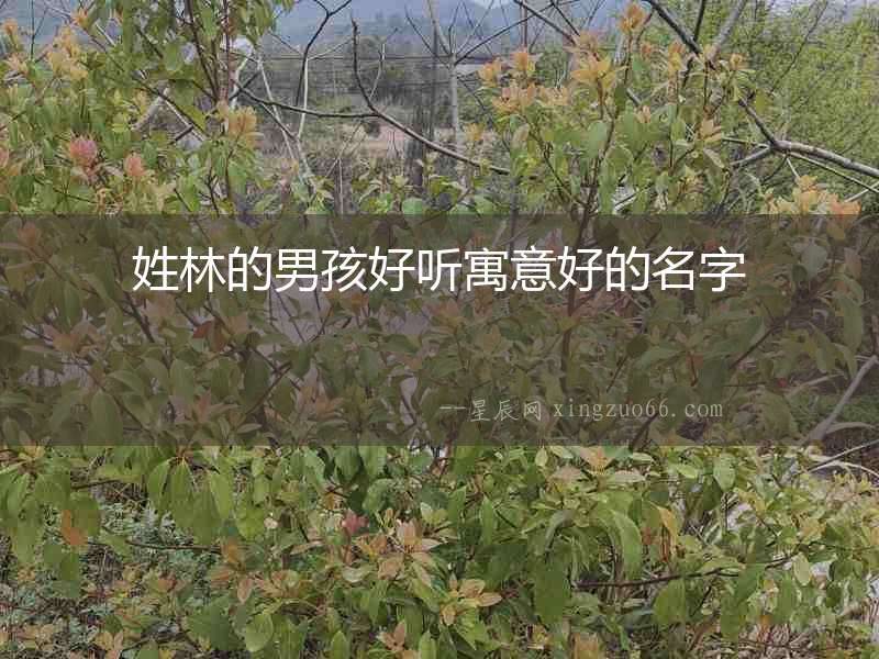姓林的男孩好聽寓意好的名字