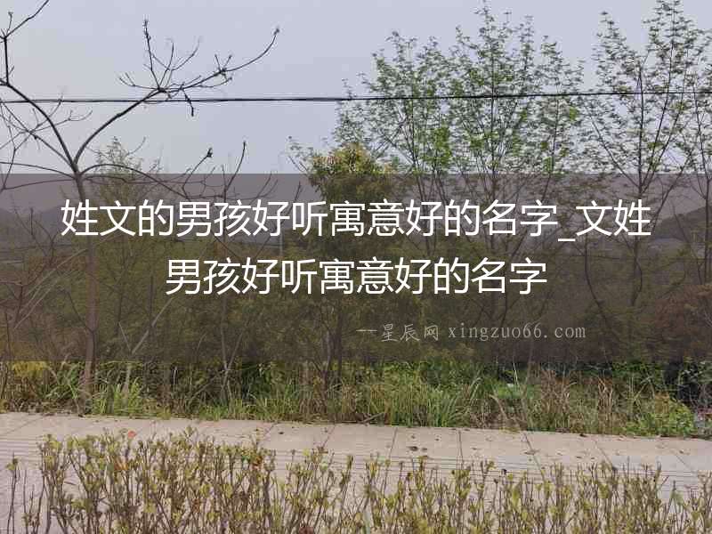 姓文的男孩好聽寓意好的名字_文姓男孩好聽寓意好的名字