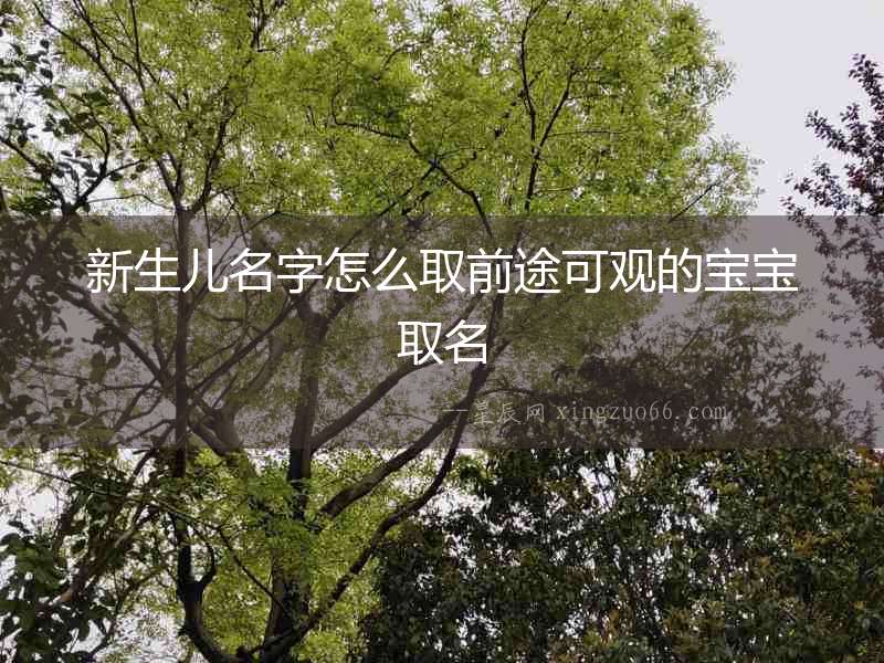 新生兒名字怎么取前途可觀的寶寶取名