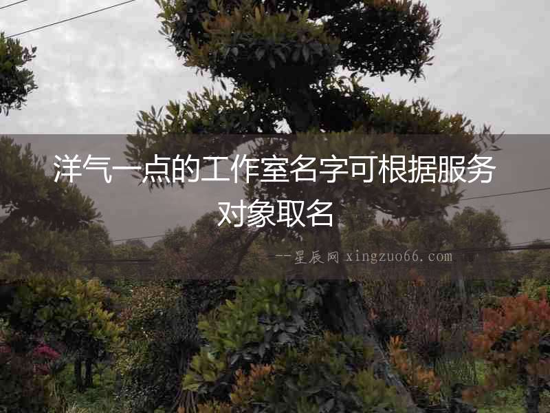 洋氣一點的工作室名字可根據服務對象取名