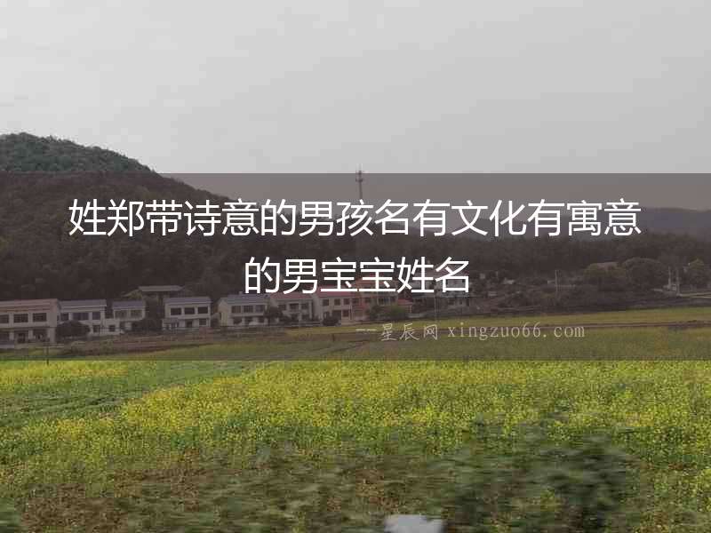 姓鄭帶詩意的男孩名有文化有寓意的男寶寶姓名