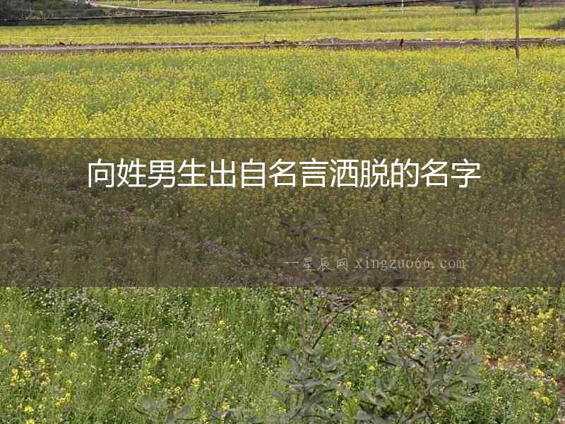 向姓男生出自名言灑脫的名字