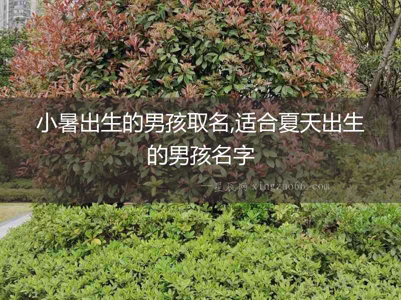 小暑出生的男孩取名,適合夏天出生的男孩名字