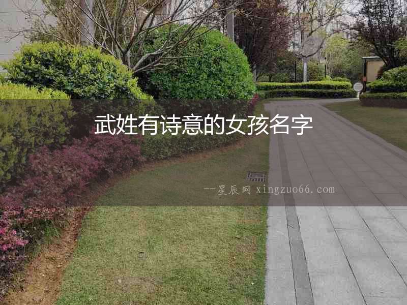 武姓有詩意的女孩名字