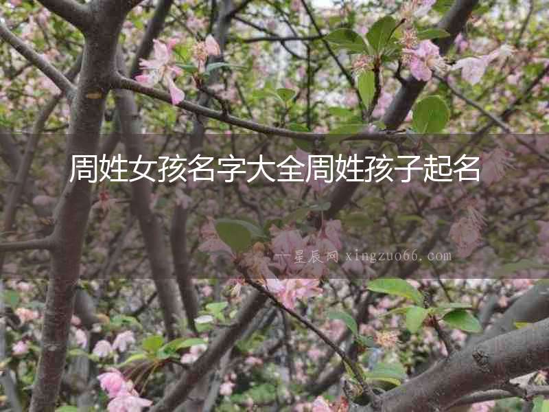 周姓女孩名字大全周姓孩子起名