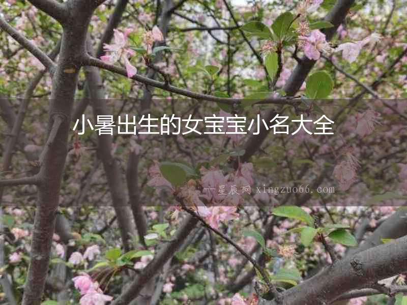 小暑出生的女寶寶小名大全