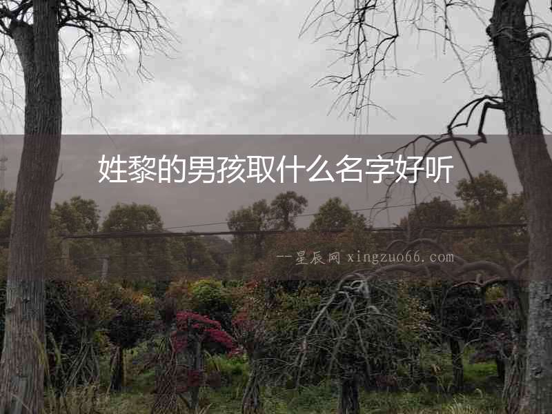 姓黎的男孩取什么名字好聽