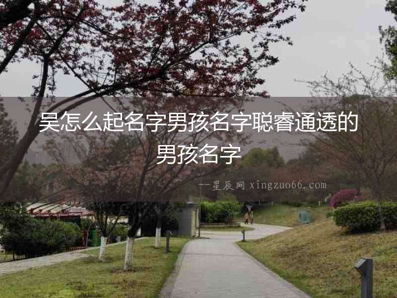 吳怎么起名字男孩名字聰睿通透的男孩名字