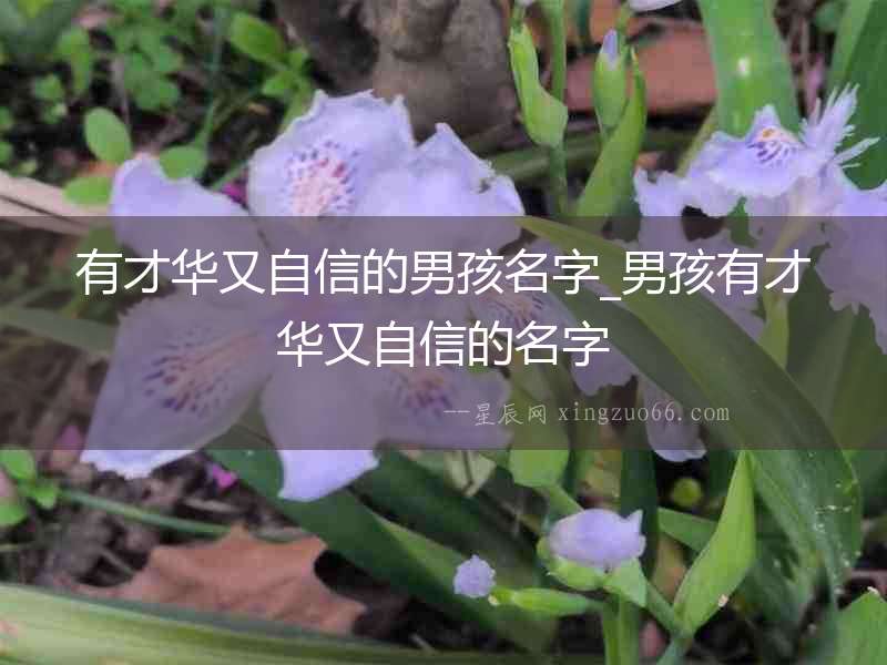 有才華又自信的男孩名字_男孩有才華又自信的名字
