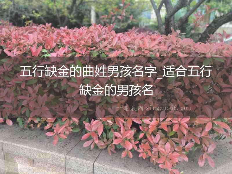 五行缺金的曲姓男孩名字_適合五行缺金的男孩名