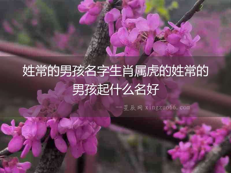 姓常的男孩名字生肖屬虎的姓常的男孩起什么名好