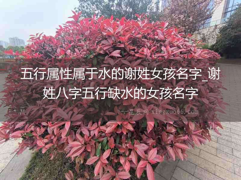 五行屬性屬于水的謝姓女孩名字_謝姓八字五行缺水的女孩名字
