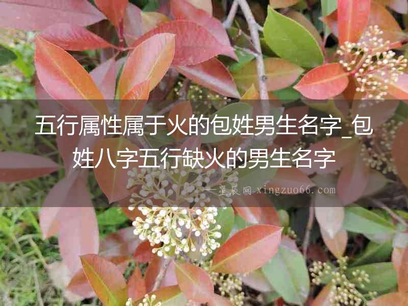 五行屬性屬于火的包姓男生名字_包姓八字五行缺火的男生名字