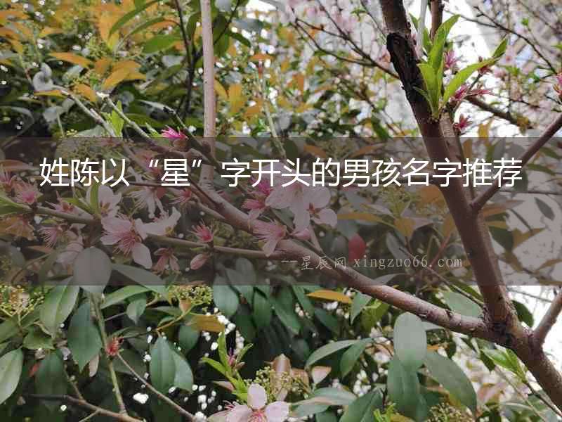 姓陳以“星”字開頭的男孩名字推薦