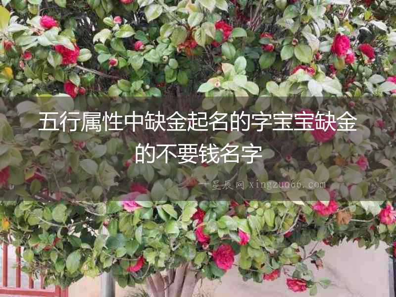 五行屬性中缺金起名的字寶寶缺金的不要錢名字