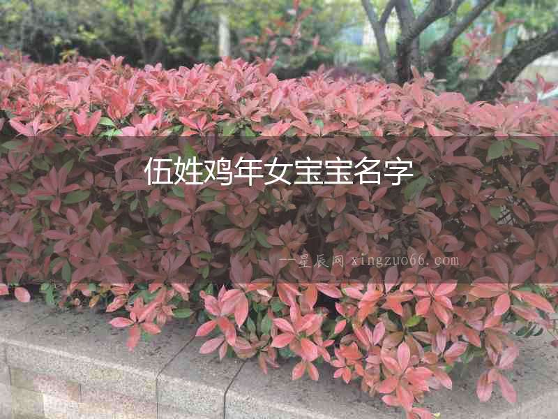 伍姓雞年女寶寶名字