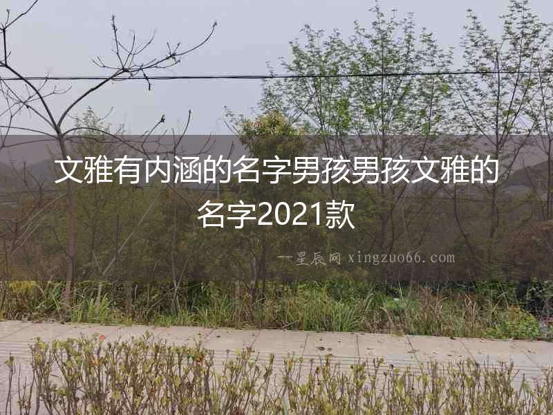 文雅有內涵的名字男孩男孩文雅的名字2021款