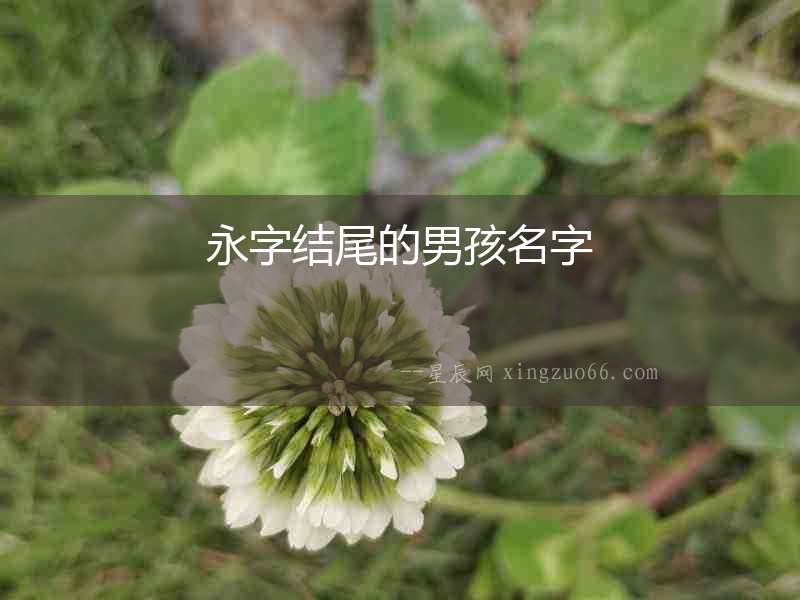 永字結(jié)尾的男孩名字