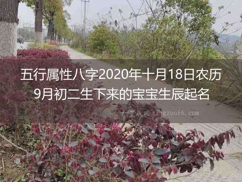 五行屬性八字2020年十月18日農歷9月初二生下來的寶寶生辰起名