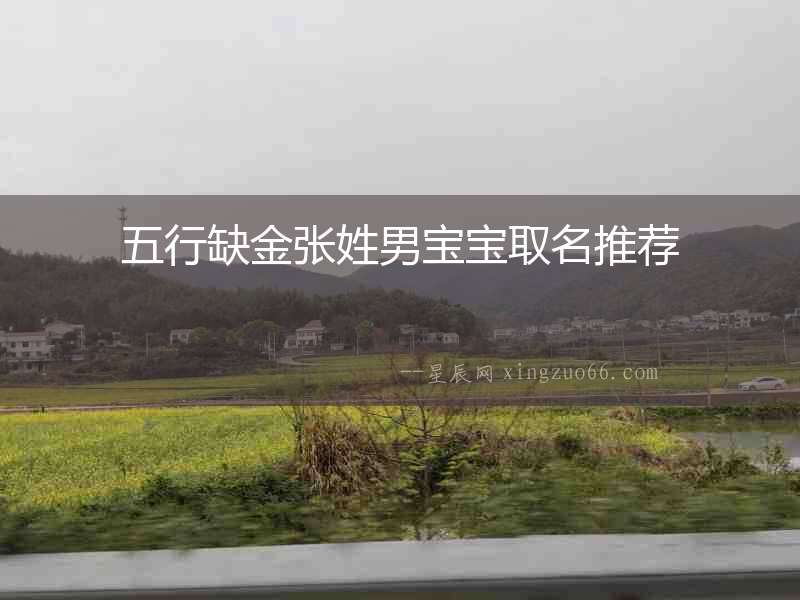 五行缺金張姓男寶寶取名推薦