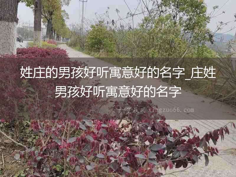 姓莊的男孩好聽(tīng)寓意好的名字_莊姓男孩好聽(tīng)寓意好的名字