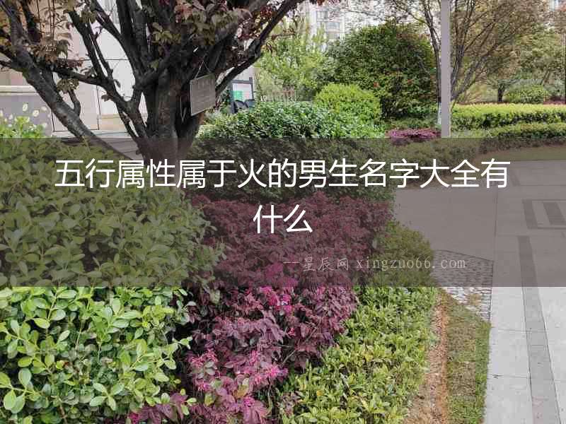 五行屬性屬于火的男生名字大全有什么